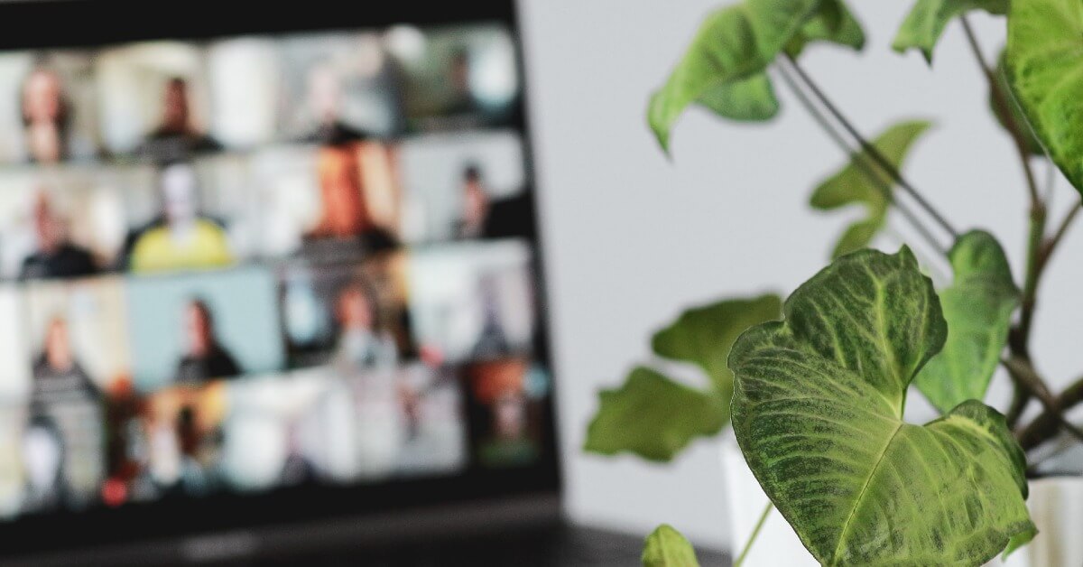 Plant growing in front of a virtual meeting
